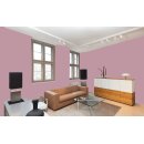 Auro Profi-Lehmfarbe 535 - Colours for life - powder lilac 05