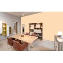 Auro Profi-Lehmfarbe 535 - Colours for life - pure mango 20