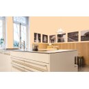 Auro Profi-Lehmfarbe 535 - Colours for life - pure mango 20