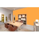 Auro Profi-Lehmfarbe 535 - Colours for life - pure melon