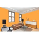 Auro Profi-Lehmfarbe 535 - Colours for life - pure melon