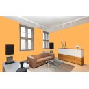 Auro Profi-Lehmfarbe 535 - Colours for life - pure melon 05