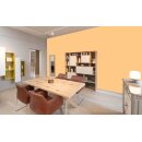 Auro Profi-Lehmfarbe 535 - Colours for life - pure melon 10