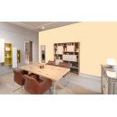 Auro Profi-Lehmfarbe 535 - Colours for life - pure melon 20