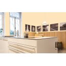 Auro Profi-Lehmfarbe 535 - Colours for life - pure melon 20