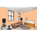 Auro Profi-Lehmfarbe 535 - Colours for life - pure papaya 10