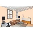 Auro Profi-Lehmfarbe 535 - Colours for life - pure papaya 20