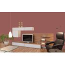 Auro Profi-Lehmfarbe 535 - Colours for life - red earth 05