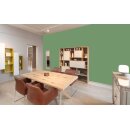 Auro Profi-Lehmfarbe 535 - Colours for life - reseda green