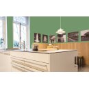 Auro Profi-Lehmfarbe 535 - Colours for life - reseda green