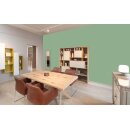 Auro Profi-Lehmfarbe 535 - Colours for life - reseda green 10