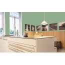 Auro Profi-Lehmfarbe 535 - Colours for life - reseda green 10