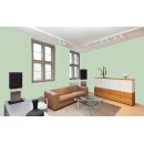 Auro Profi-Lehmfarbe 535 - Colours for life - reseda green 20