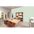 Auro Profi-Lehmfarbe 535 - Colours for life - reseda green 25