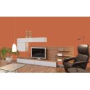 Auro Profi-Lehmfarbe 535 - Colours for life - smoke orange