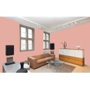 Auro Profi-Lehmfarbe 535 - Colours for life - soft red brown 20
