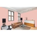 Auro Profi-Lehmfarbe 535 - Colours for life - soft red brown 25