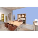 Auro Profi-Lehmfarbe 535 - Colours for life - sparkling blue 10