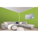 Auro Profi-Lehmfarbe 535 - Colours for life - spring green