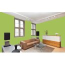 Auro Profi-Lehmfarbe 535 - Colours for life - spring green 05