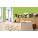 Auro Profi-Lehmfarbe 535 - Colours for life - spring green 05