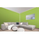 Auro Profi-Lehmfarbe 535 - Colours for life - spring green 05