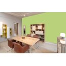 Auro Profi-Lehmfarbe 535 - Colours for life - spring green 10