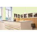 Auro Profi-Lehmfarbe 535 - Colours for life - spring green 25