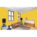 Auro Profi-Lehmfarbe 535 - Colours for life - sun-kissed