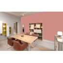 Auro Profi-Lehmfarbe 535 - Colours for life - terra cotta tone 15