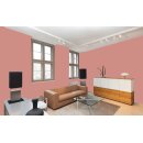 Auro Profi-Lehmfarbe 535 - Colours for life - terra cotta tone 15