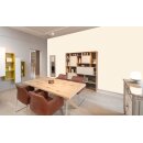 Auro Profi-Lehmfarbe 535 - Colours for life - vanilla delight