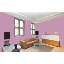 Auro Profi-Lehmfarbe 535 - Colours for life - velvet touch