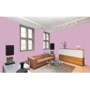Auro Profi-Lehmfarbe 535 - Colours for life - velvet touch 05