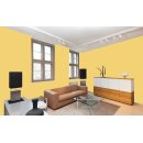 Auro Profi-Lehmfarbe 535 - Colours for life - wild mustard 10