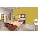 Auro Profi-Lehmfarbe 535 - Colours for life - yellow kelp