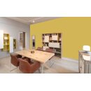 Auro Profi-Lehmfarbe 535 - Colours for life - yellow kelp 05