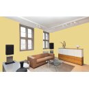 Auro Profi-Lehmfarbe 535 - Colours for life -  yellow kelp 15