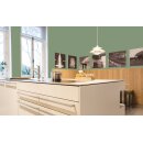 Auro Profi-Lehmfarbe 535 - Colours for life - zucchini 05