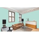 Auro Innenraumfarbe Kalkfarbe Ecolith 584 - Colours for life - mint extract 15