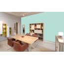 Auro Innenraumfarbe Kalkfarbe Ecolith 584 - Colours for life - mint extract 15