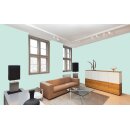 Auro Innenraumfarbe Kalkfarbe Ecolith 584 - Colours for life - mint extract 20