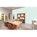 Auro Innenraumfarbe Kalkfarbe Ecolith 584 - Colours for life - mint extract 25