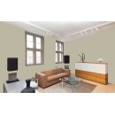 Auro Innenraumfarbe Kalkfarbe Ecolith 584 - Colours for life - olive 15