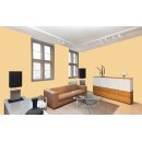 Auro Innenraumfarbe Kalkfarbe Ecolith 584 - Colours for life - yellow gold 15