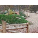 Woodline Pfähle aus europ. Robinie naturgewachsen,...