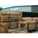 Woodline Pfähle aus europ. Robinie naturgewachsen, rund, geschält, unten gespitzt dm= ca. 8-10 cm Länge 180 cm