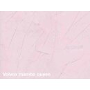 Volvox Dacapo Lehmstucco mambo queen 2,5 Liter