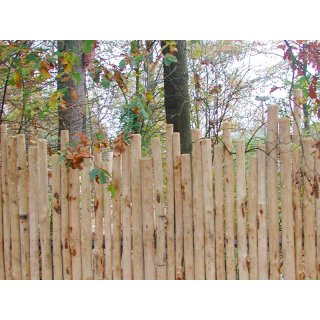 Woodline Pflanzpfahl Kastanie gespitzt 200cm Stärke 4-6cm