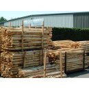 Woodline Zaunpfahl Kastanie gespitzt 150cm Stärke 5-8cm